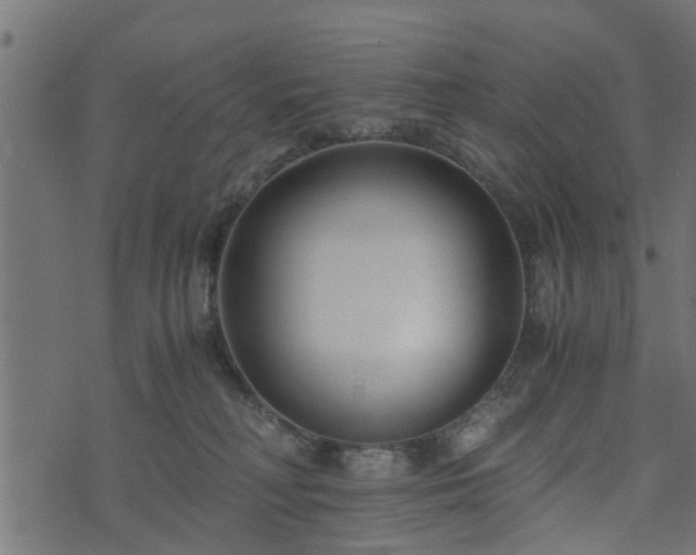 X0000073900230200608181007