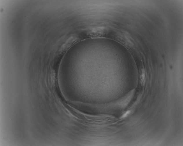 X0000073900231200608181007