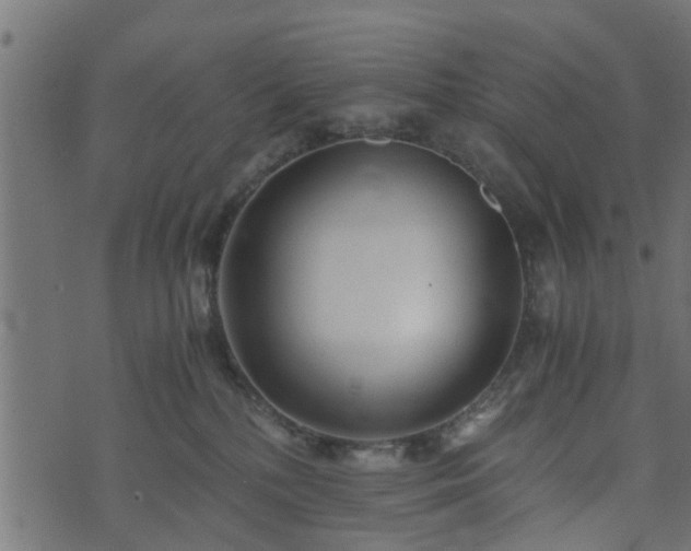 X0000073900232200608181007