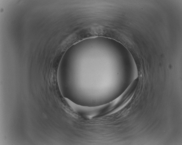 X0000073900233200608181007