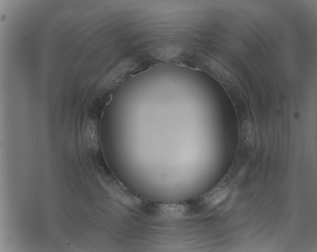 X0000073900234200608181007