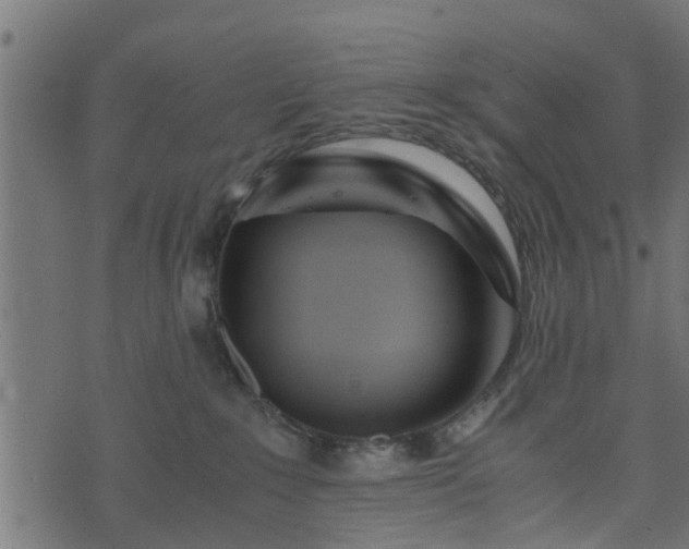 X0000073900235200608181006