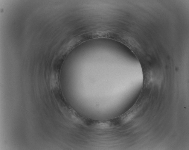 X0000073900236200608181006