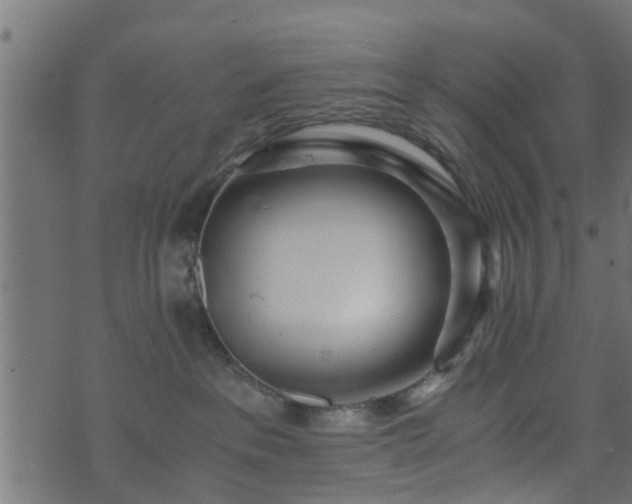 X0000073900237200608181006