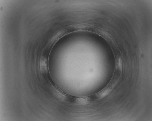 X0000073900238200608181006