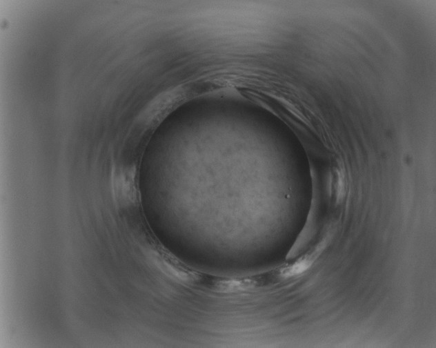 X0000073900239200608181006