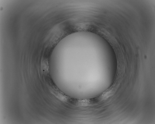 X0000073900240200608181006