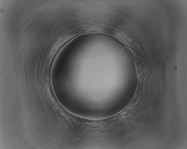 X0000073900241200608181006