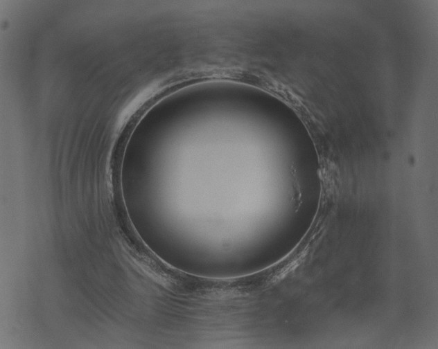 X0000073900246200608181006