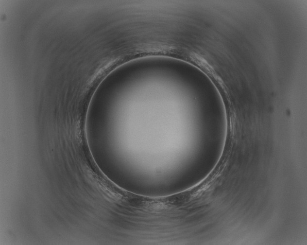 X0000073900249200608181006