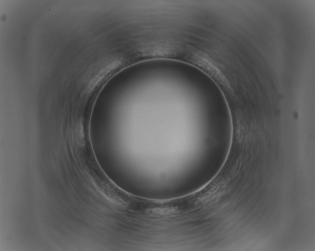 X0000073900251200608181006