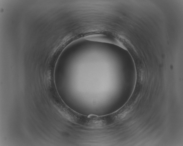 X0000073900260200608181006