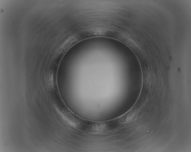 X0000073900262200608181006