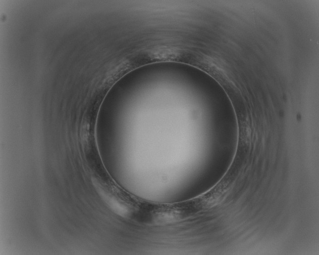 X0000073900263200608181006