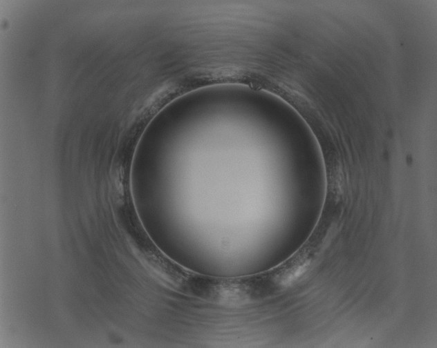 X0000073900264200608181006