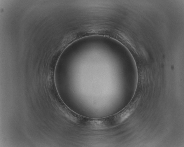 X0000073900265200608181006