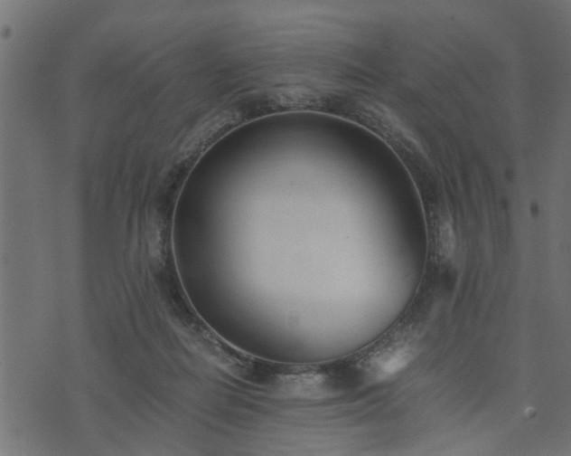 X0000073900266200608181006