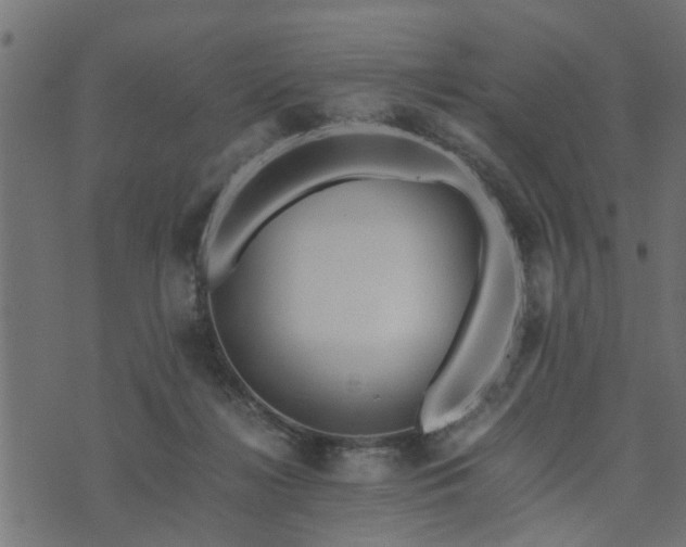 X0000073900268200608181006