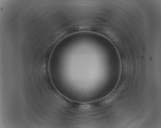 X0000073900269200608181006