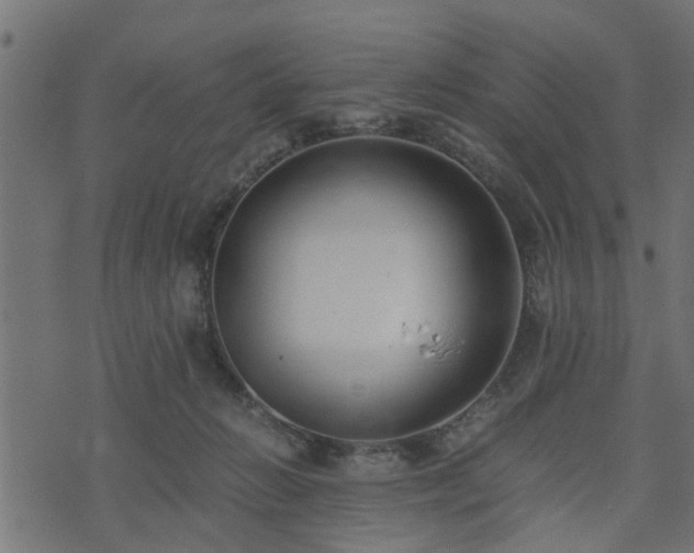 X0000073900270200608181006