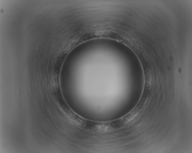 X0000073900272200608181006