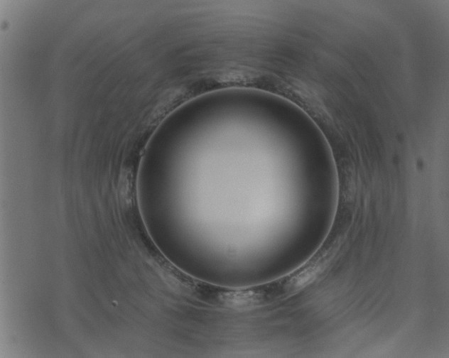 X0000073900273200608181006