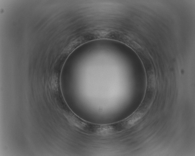 X0000073900274200608181006