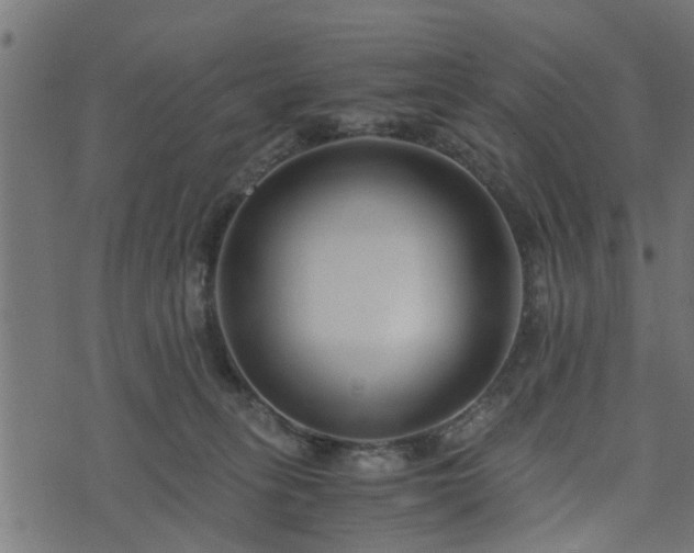 X0000073900275200608181006