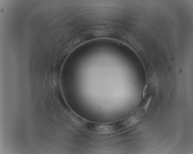 X0000073900277200608181006