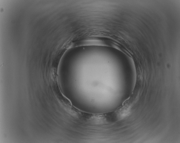 X0000073900280200608181006