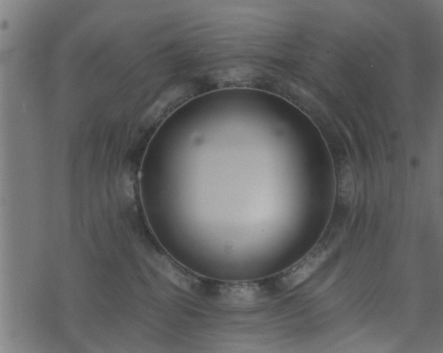 X0000073900282200608181006