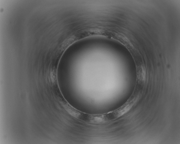 X0000073900285200608181006