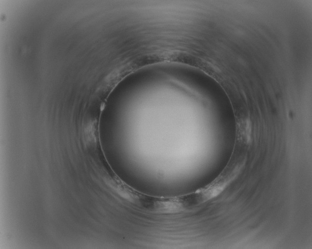 X0000073900286200608181006