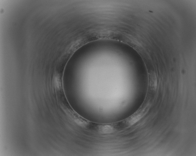 X0000073900287200608181006