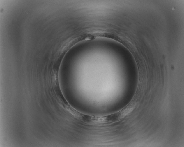 X0000073900288200608181006