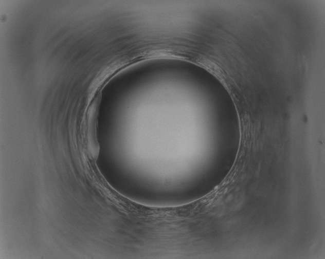 X0000073900289200608181006