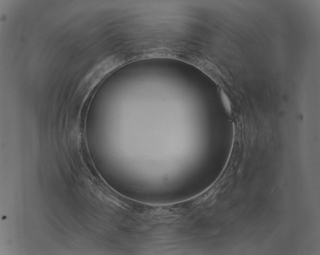 X0000073900290200608181006