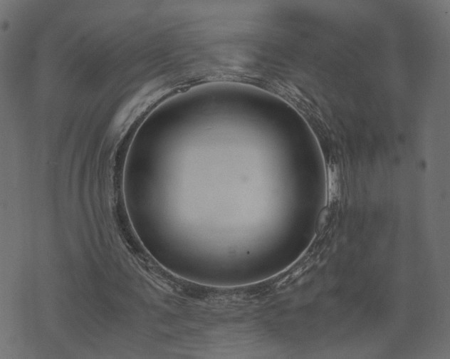 X0000073900291200608181006