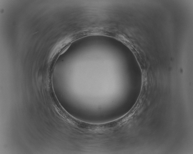 X0000073900293200608181006