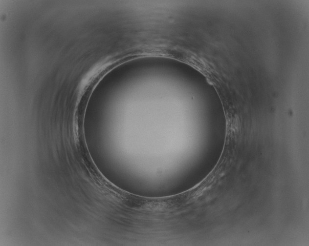 X0000073900294200608181006