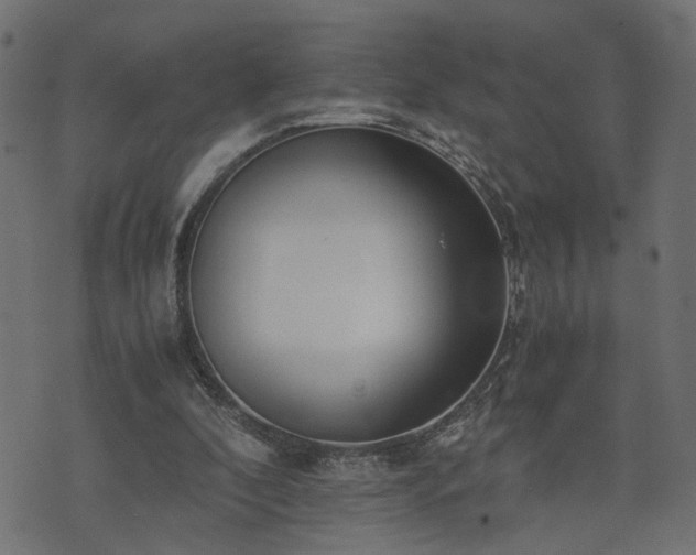 X0000073900296200608181005