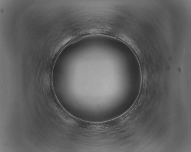 X0000073900297200608181005