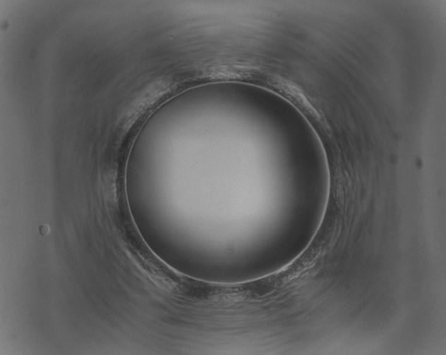 X0000073900299200608181005