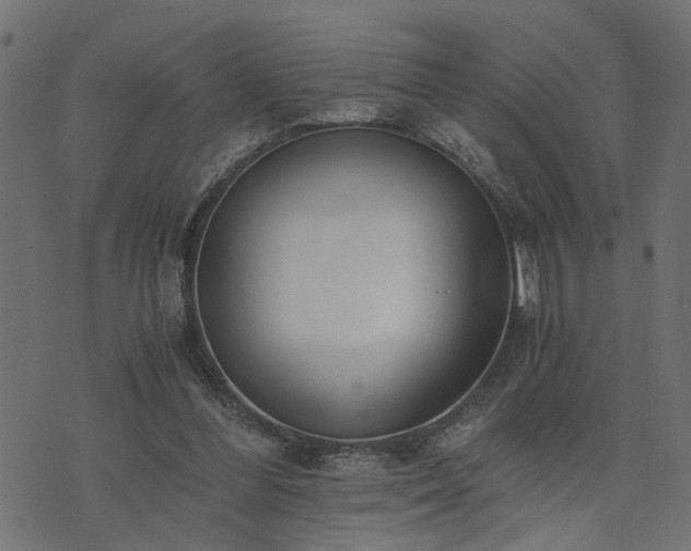 X0000073900300200608181005