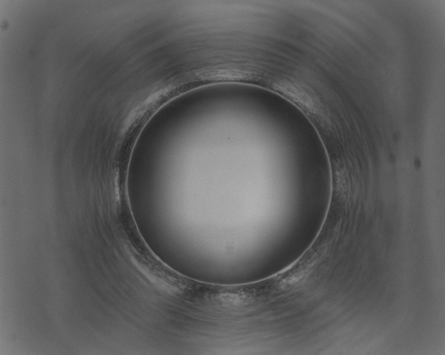 X0000073900302200608181005