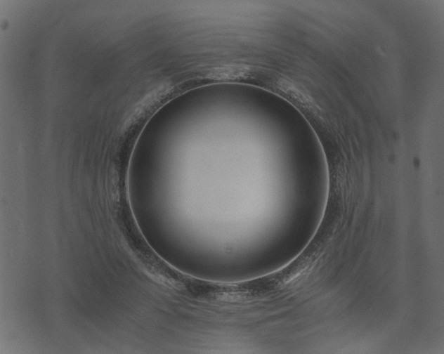 X0000073900303200608181005