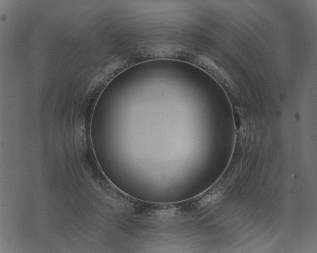 X0000073900306200608181005