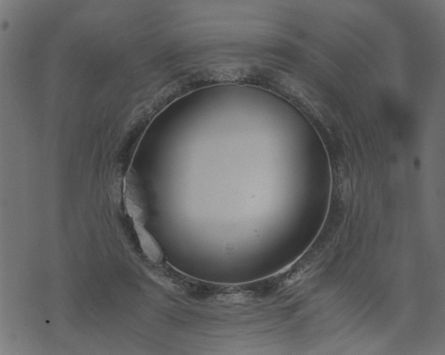 X0000073900307200608181005