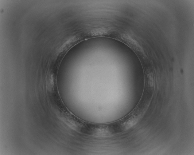 X0000073900308200608181005