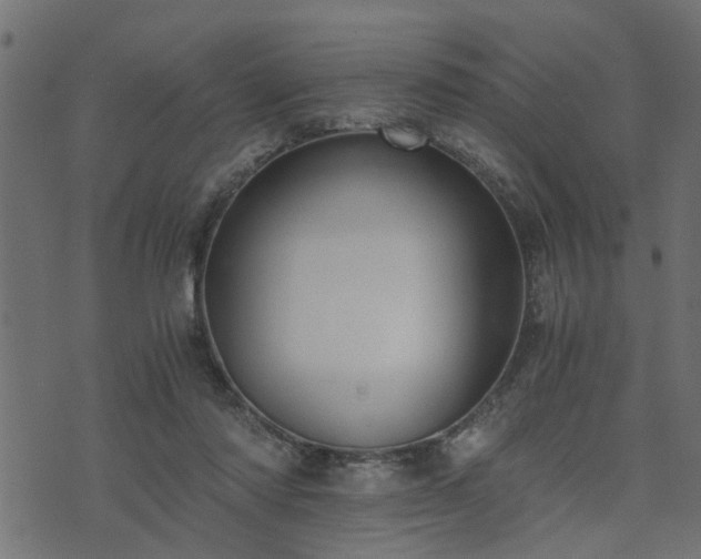 X0000073900310200608181005